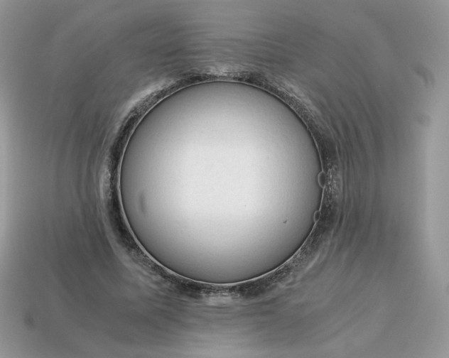 X0000115060587200911091448