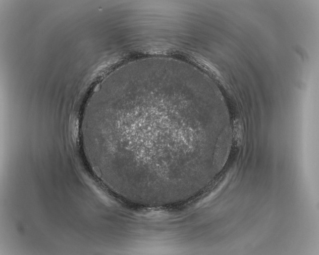 X0000115060589200911091448