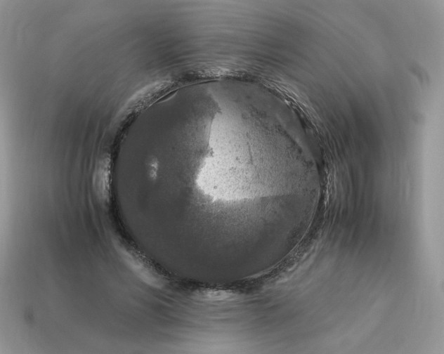 X0000115060590200911091448