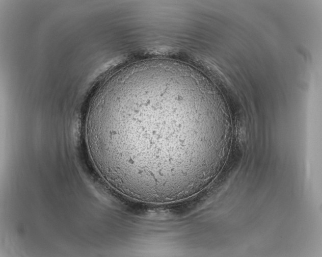 X0000115060591200911091448