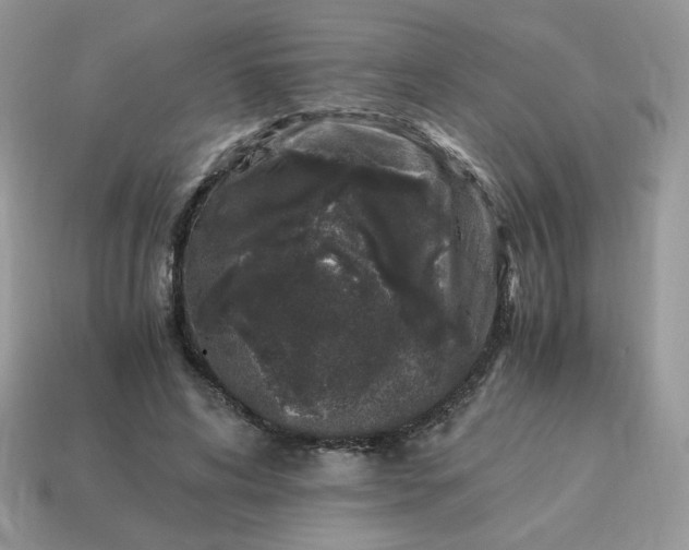 X0000115060592200911091448