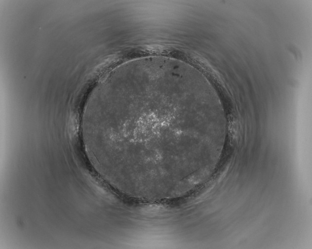 X0000115060593200911091448