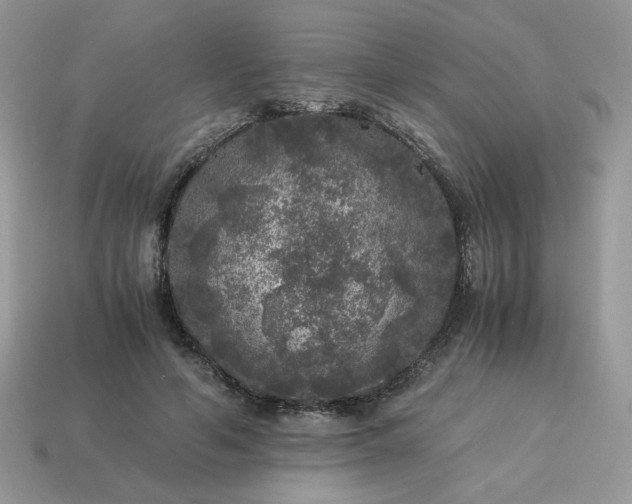 X0000115060594200911091448