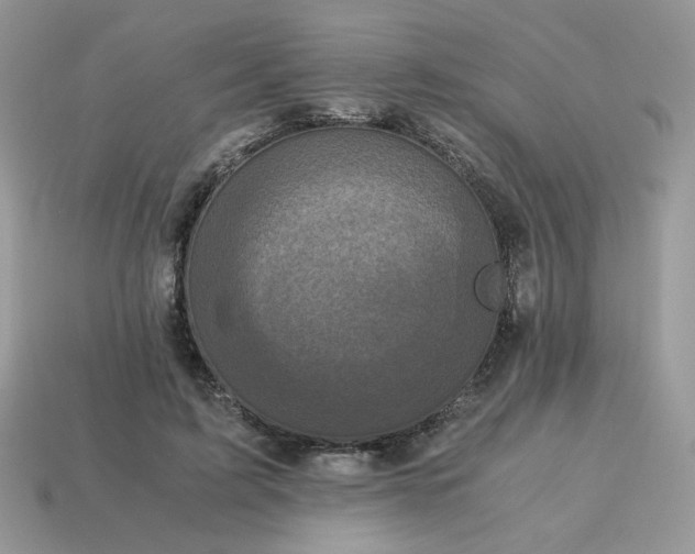 X0000115060595200911091448