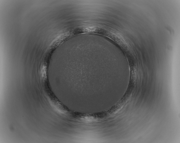X0000115060598200911091448