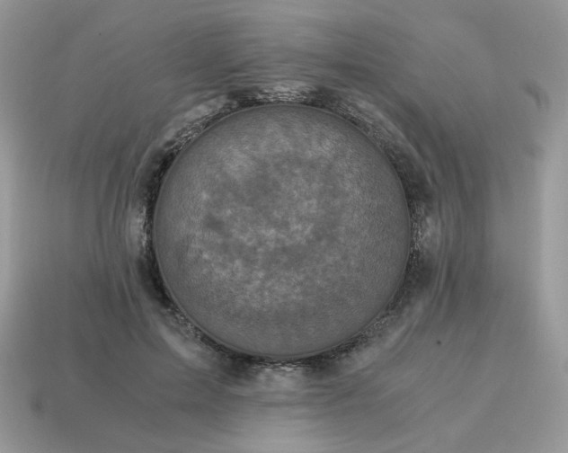 X0000115060599200911091448