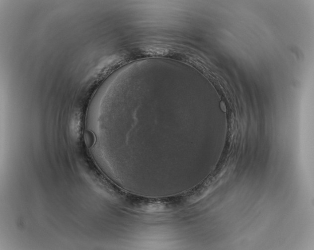 X0000115060600200911091448