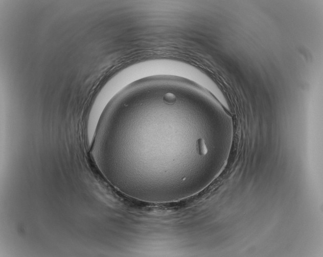 X0000115060601200911091448