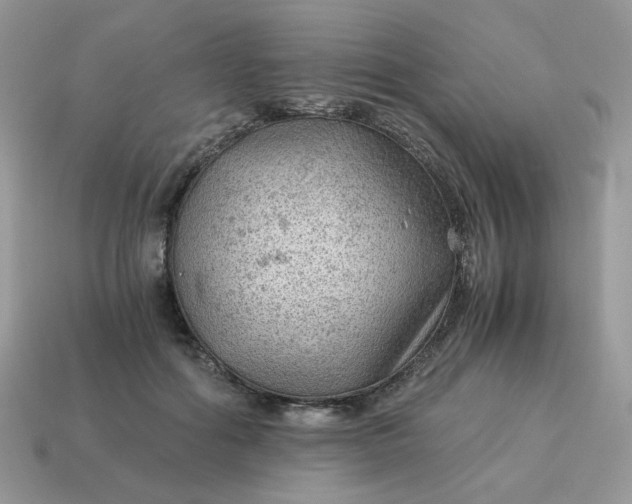 X0000115060602200911091448