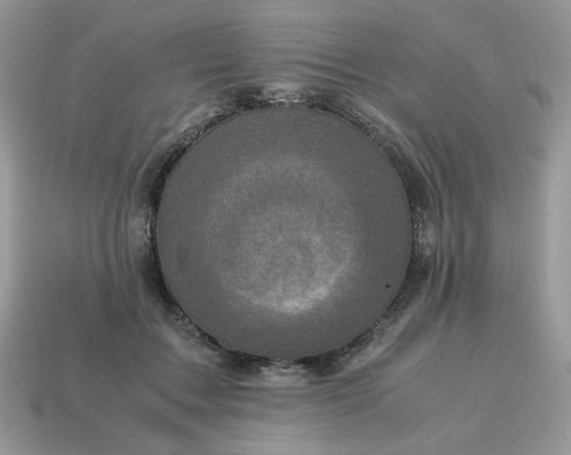 X0000115060603200911091448