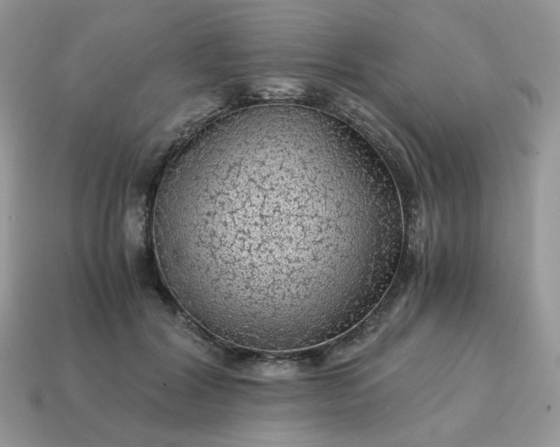 X0000115060604200911091448