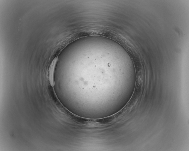 X0000115060605200911091448
