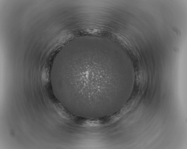 X0000115060606200911091448
