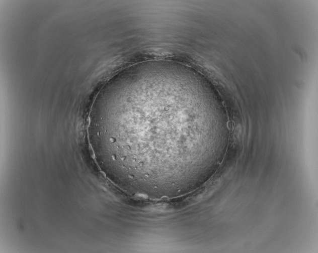 X0000115060609200911091448