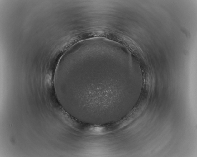 X0000115060610200911091448