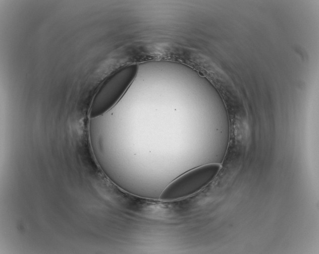 X0000115060611200911091448