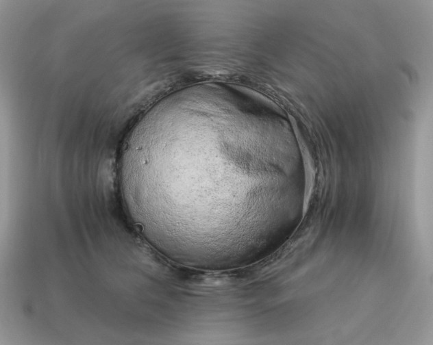 X0000115060612200911091448