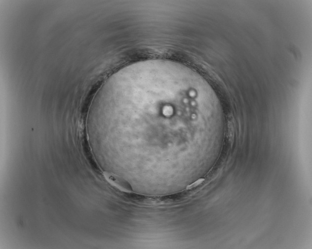 X0000115060613200911091448