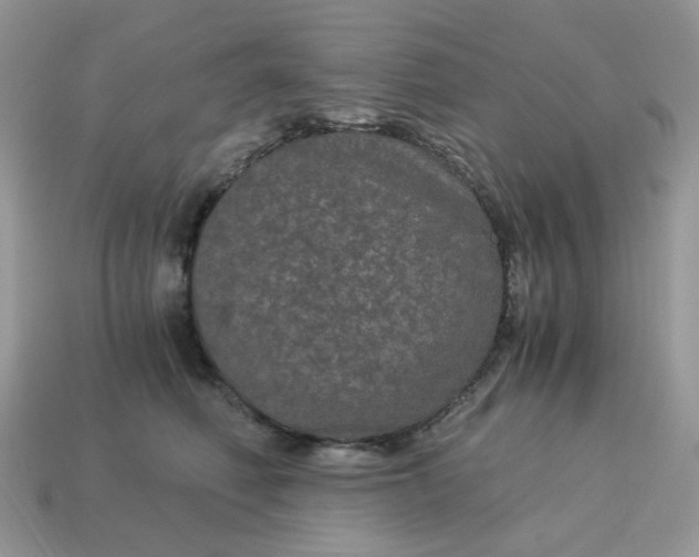 X0000115060614200911091448