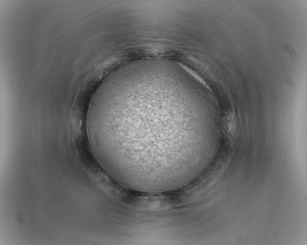 X0000115060615200911091448