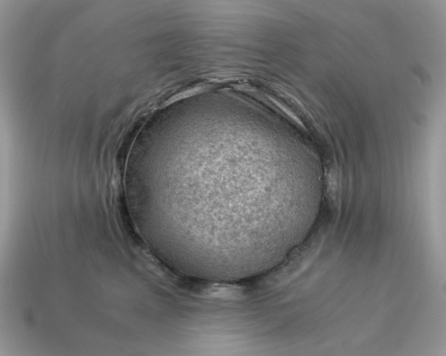 X0000115060617200911091448