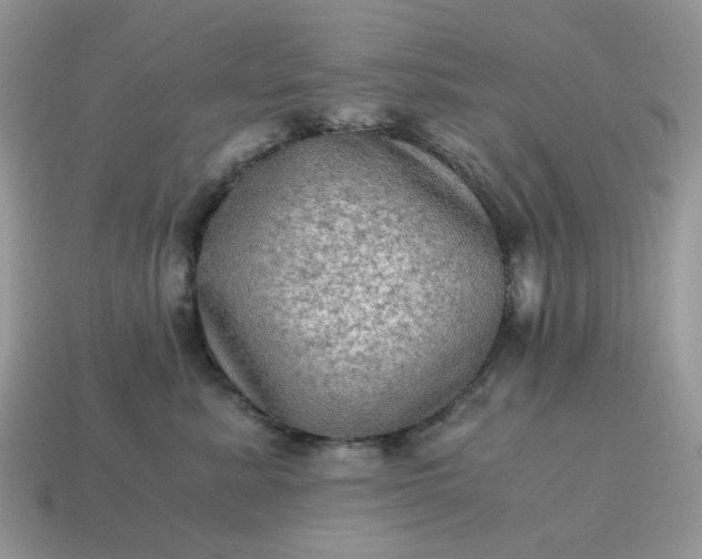 X0000115060619200911091448