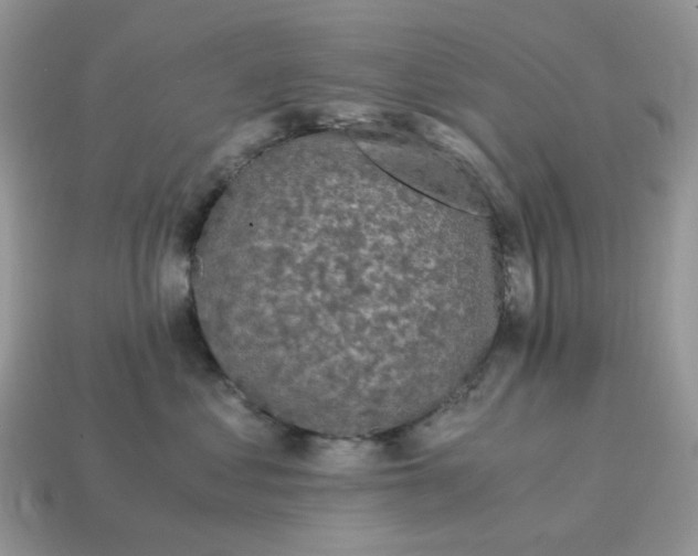 X0000115060621200911091447