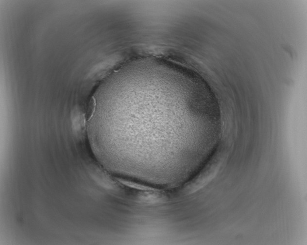 X0000115060624200911091447