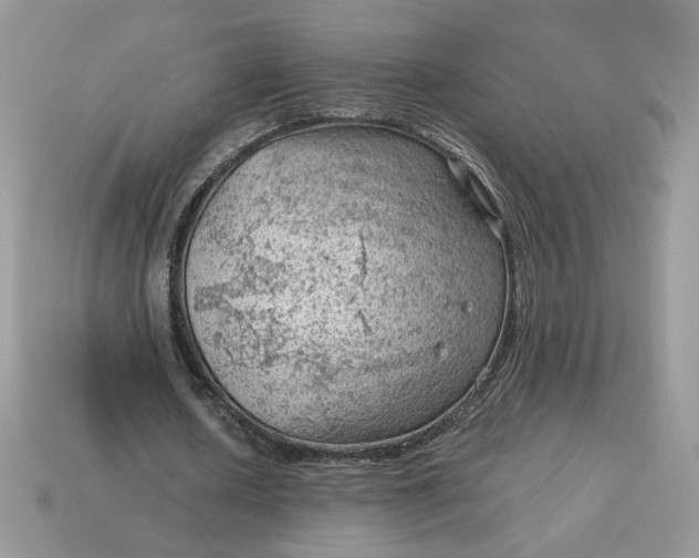 X0000115060626200911091447