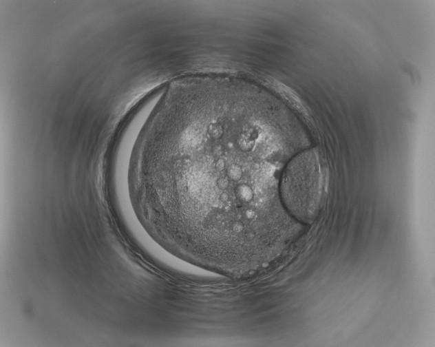 X0000115060627200911091447