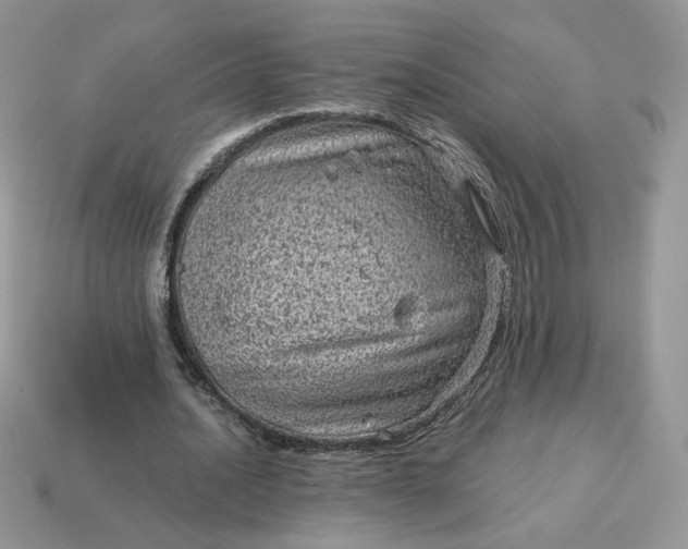 X0000115060628200911091447