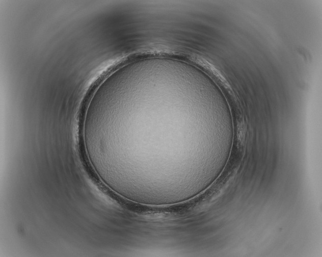X0000115060629200911091447