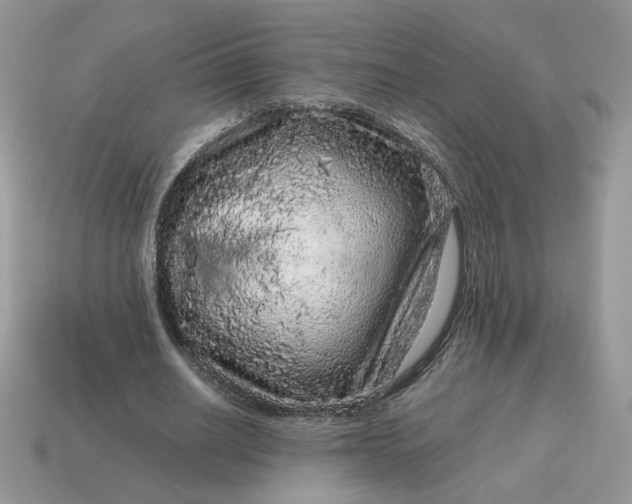X0000115060630200911091447
