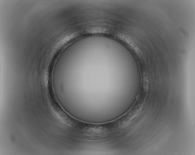 X0000115060631200911091447