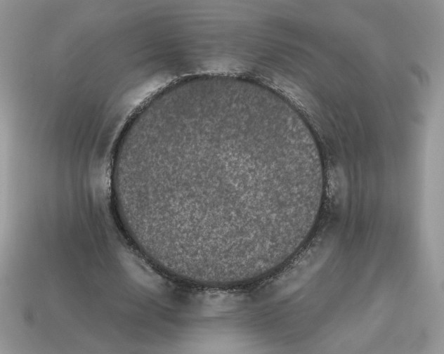 X0000115060632200911091447