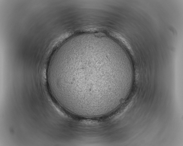 X0000115060633200911091447