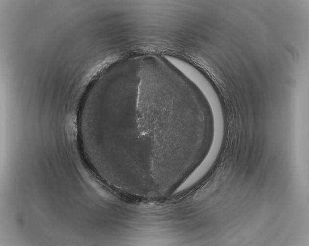 X0000115060634200911091447