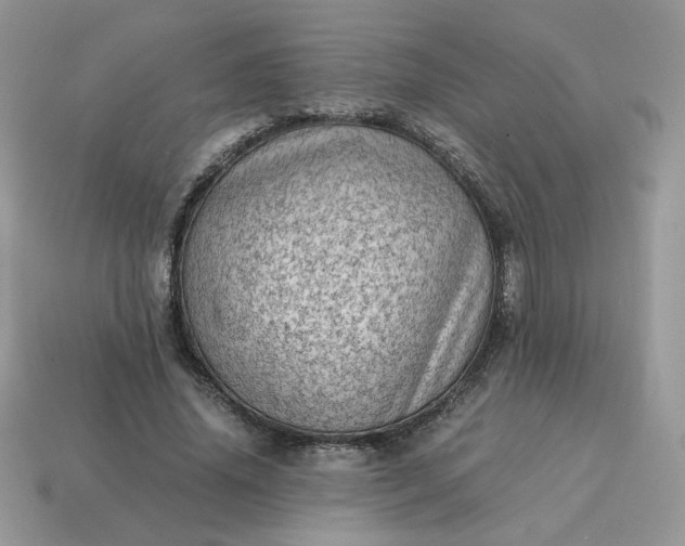 X0000115060636200911091447
