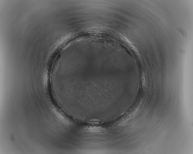 X0000115060637200911091447