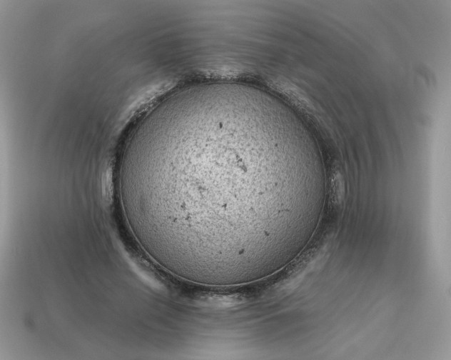 X0000115060638200911091447