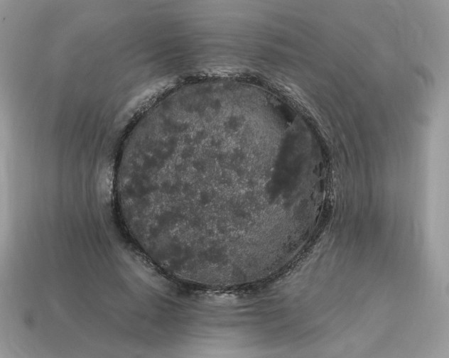 X0000115060640200911091447