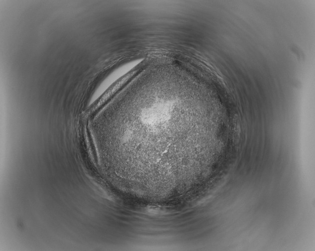 X0000115060641200911091447