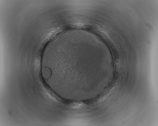 X0000115060642200911091447