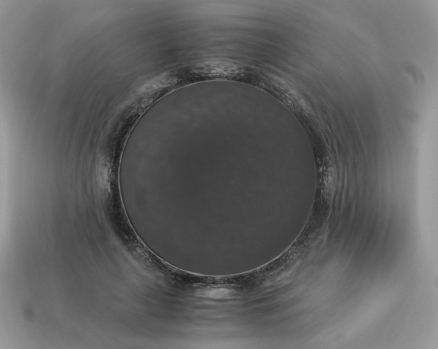 X0000115060643200911091447