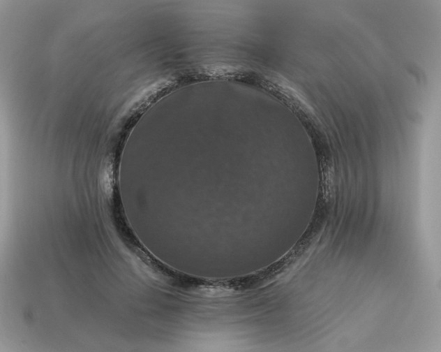 X0000115060644200911091447
