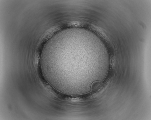 X0000115060645200911091447
