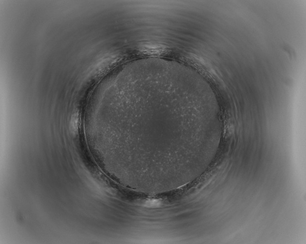 X0000115060647200911091447