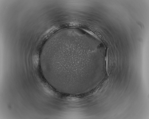 X0000115060648200911091447
