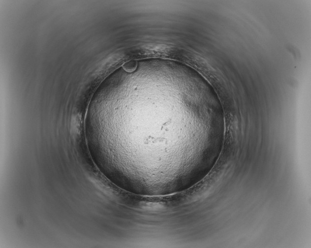 X0000115060649200911091447