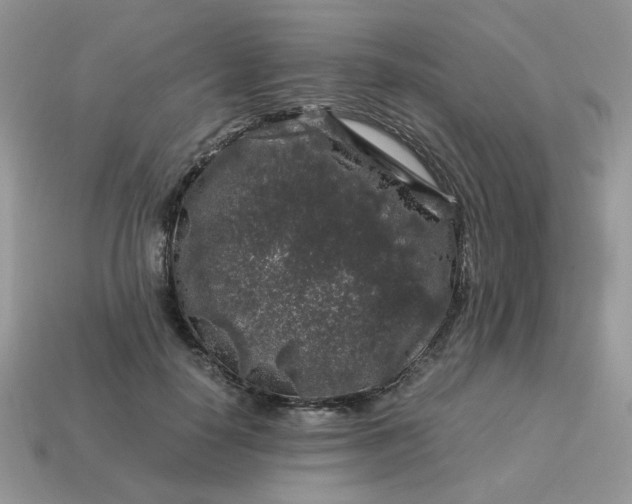 X0000115060650200911091447